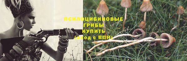 apvp Абдулино